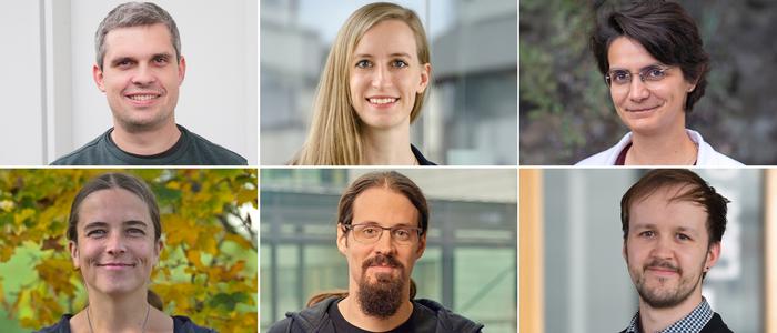 Würzburg ERC Starting Grantees 2025