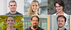 Würzburg ERC Starting Grantees 2025