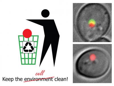 Waste Bag Illustration