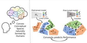 The connection between human and machine learning