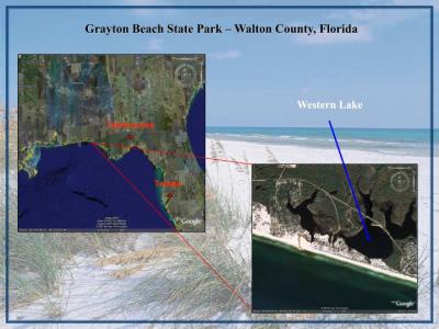 Map and Aerial Photo