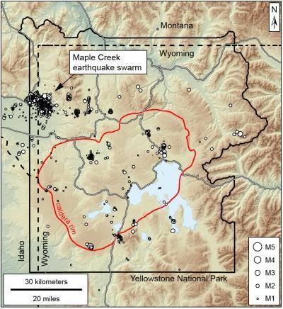 Maple Creek Swarm Location