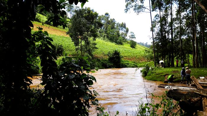 Farming along a river in Kenya. Higher nutrient input into rivers drives the accumulation of greenhouse gases worldwide. (Ricky Mwanake, KIT)