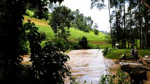 Farming along a river in Kenya. Higher nutrient input into rivers drives the accumulation of greenhouse gases worldwide. (Ricky Mwanake, KIT)