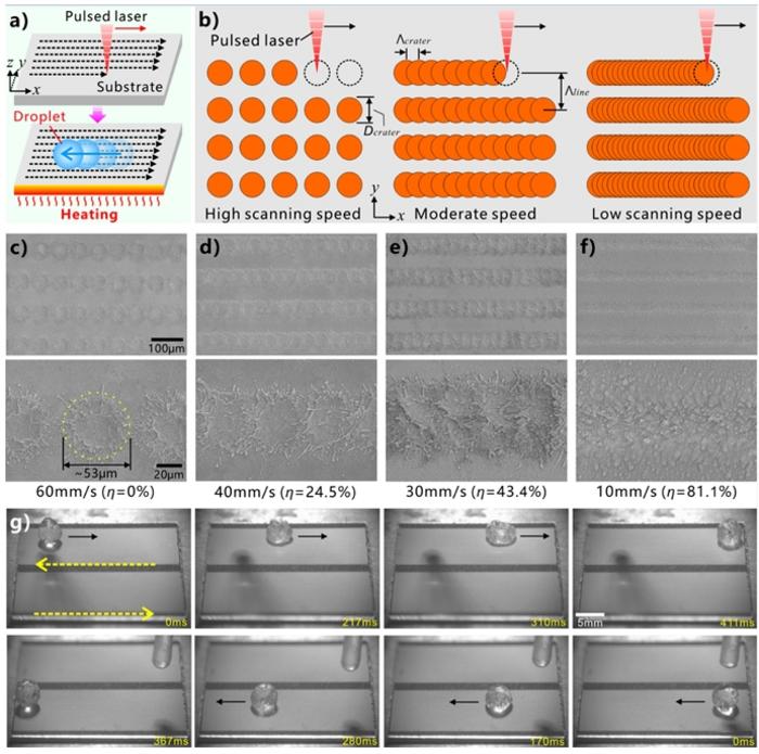 Figure | Unidirectional propulsion of Leidenfrost droplets on the femtosecond laser-structured heterogeneous aluminum surface.