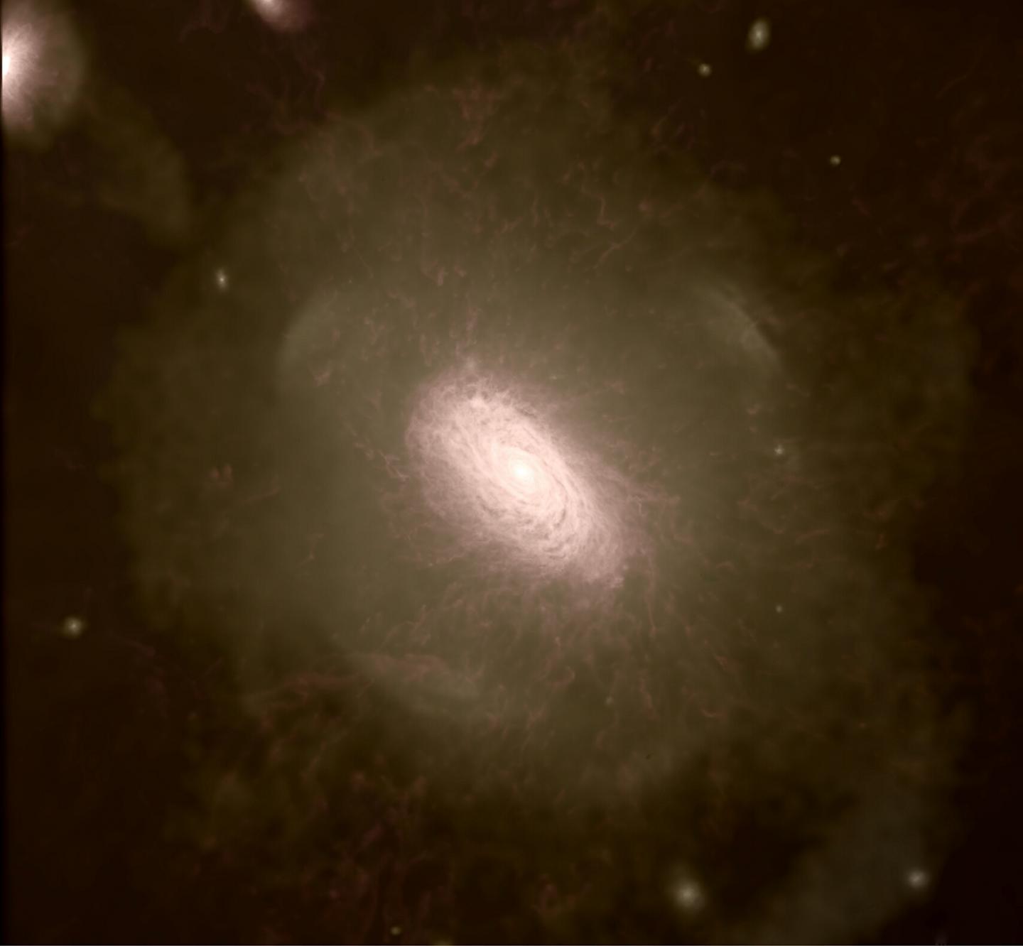 Au Stars Gas Band
