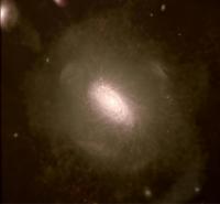 Au Stars Gas Band