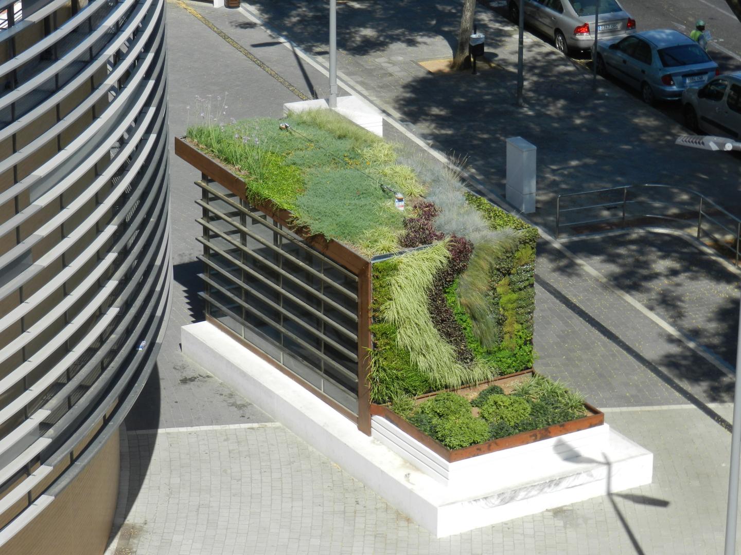 Green Roof