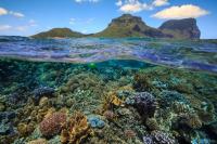 Lord Howe Island