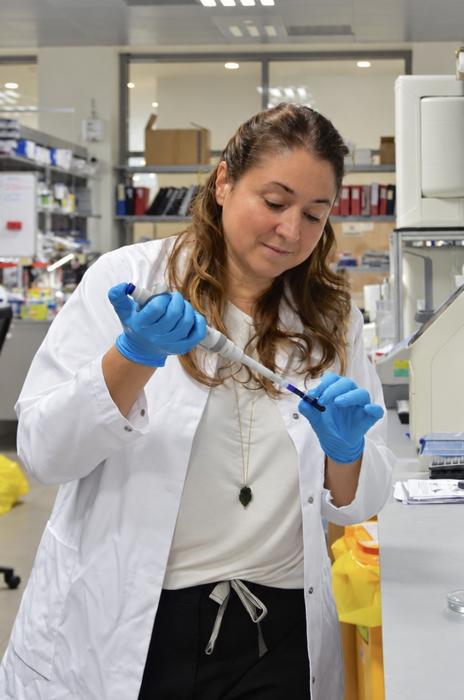 NYU Abu Dhabi Study Reveals How Cells Respond Differently to a Cancer-Causing Gene