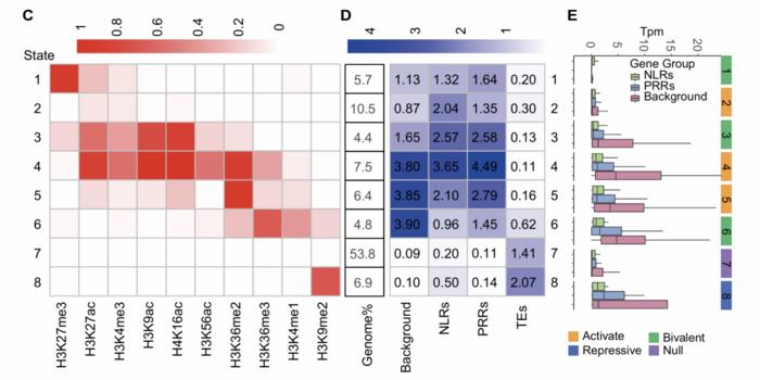 Epigenetically poised chromatin states regulate PRR and NLR genes in soybean