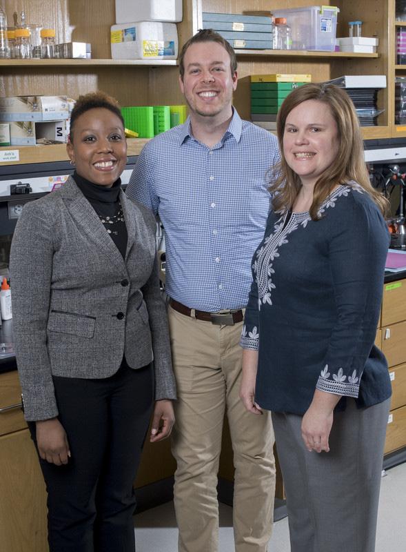 Research Team