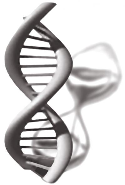 Genetics and Time