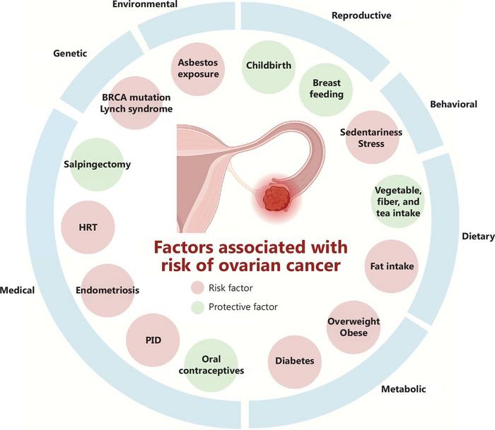 Summary of risk factors for ovarian cancer.