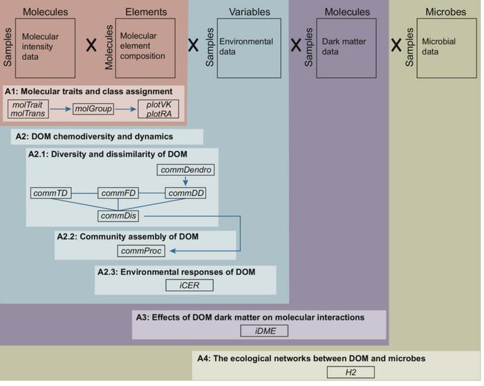 Figure 1 Conceptual scheme of the new R package iDOM.