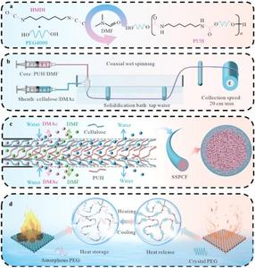 Hierarchically porous coaxial wet-spun cellulose/polyurethane based hexamethylene diisocyanate (PUH) solid-solid phase change fiber for enhanced thermal management