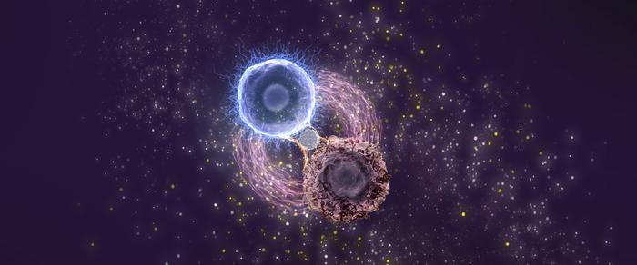 A Biomimetic Platform to Enhance CAR T Cell Therapy Against Leukemia (Image by LI Feng)