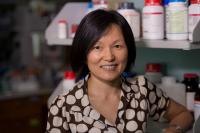 Qilin Li, Rice University 