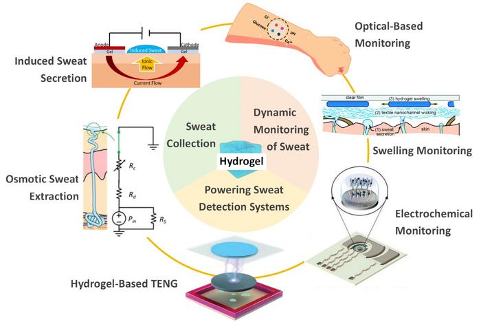 Schematic of a hydrogel-based sweat sensor on skin.