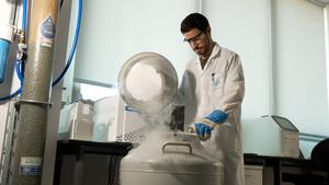 Matricelf researchers at work in the company’s laboratories.