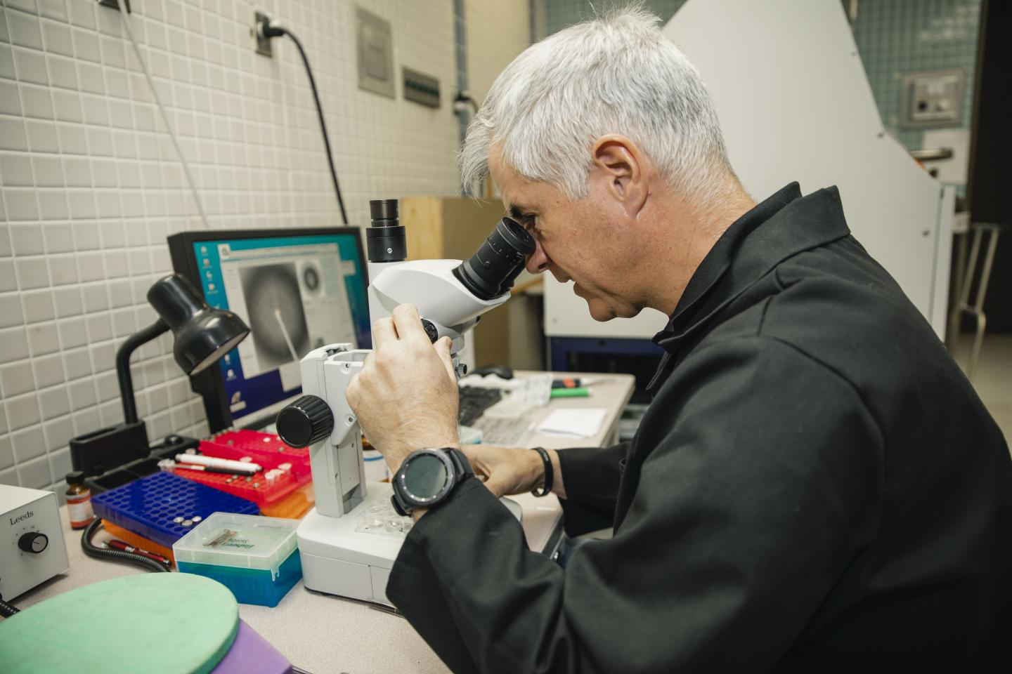 Sutton lab TTUHSC.jpg