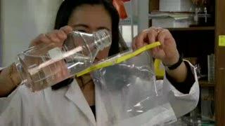 New Test for Salmonella