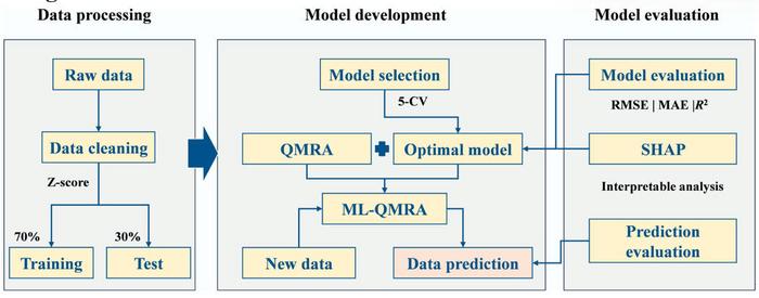 Flowchart of data processing and model development.