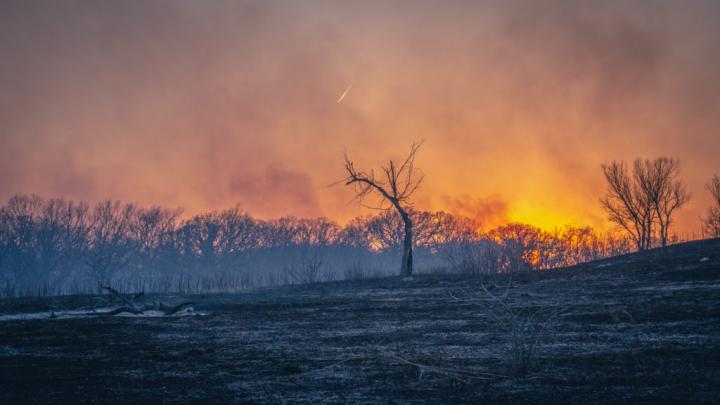 Prescribed burn