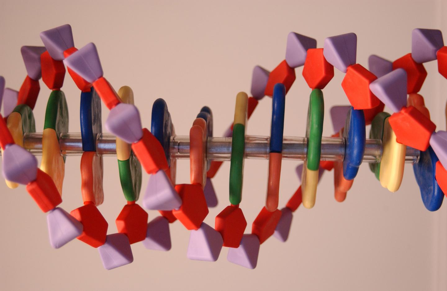 DNA Base Pairs
