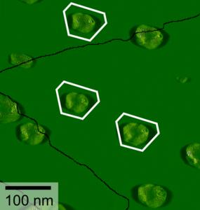Atomic force microscopy image