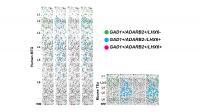 Measuring Genes in the Brain