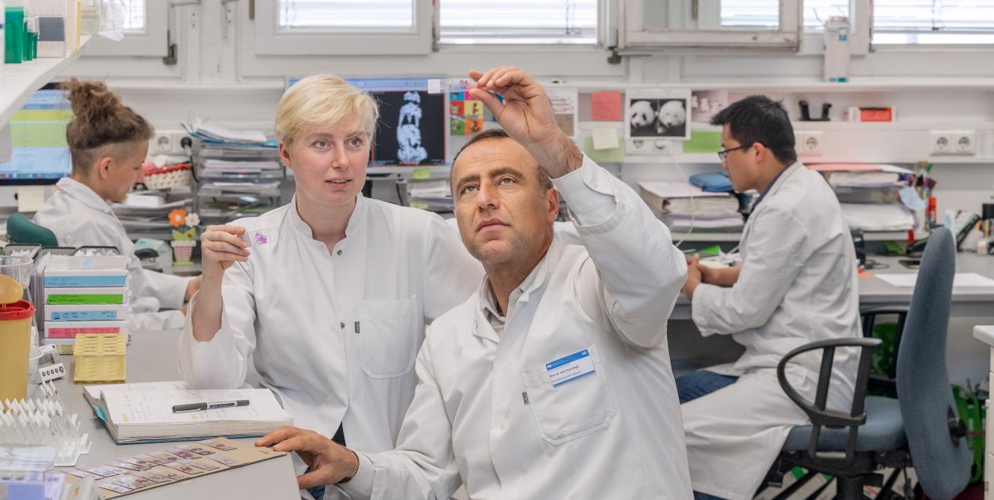 Tumor Research
