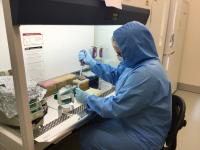 Anne Kathrine Wiborg Runge sampling in the laboratory