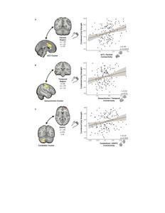 Brain networks
