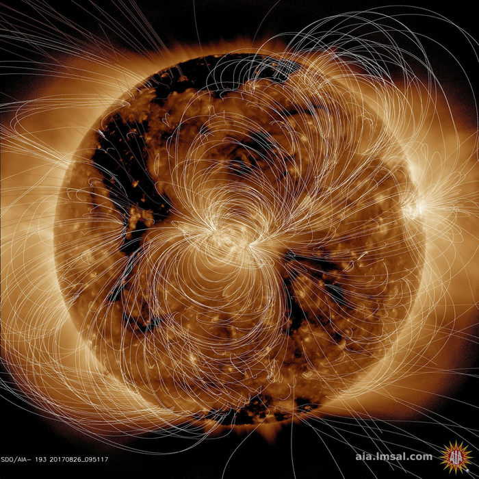 Magnetic field lines emerging through the surface of the Sun