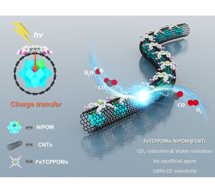 内外协同碳纳米管催化剂实现阳光驱动的定向电子传输用于高效 CO2 转化