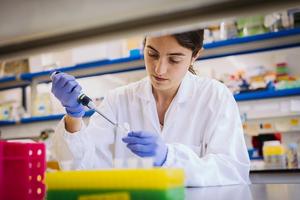 Investigadores de la Universidad de Barcelona identifican las regiones del ADN y los genes clave que activan la regeneración del hígado