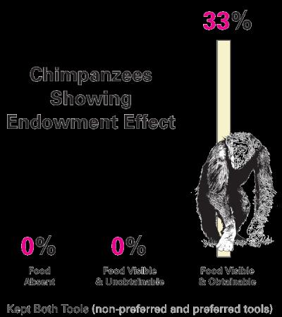 Endowment Effect