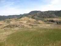 Invasive Species and Plant Extinction (2 of 2)