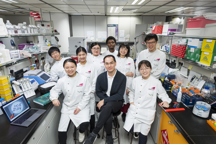 Dr Kwok's team