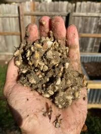 Handful of Sand