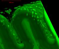 Nanostructures