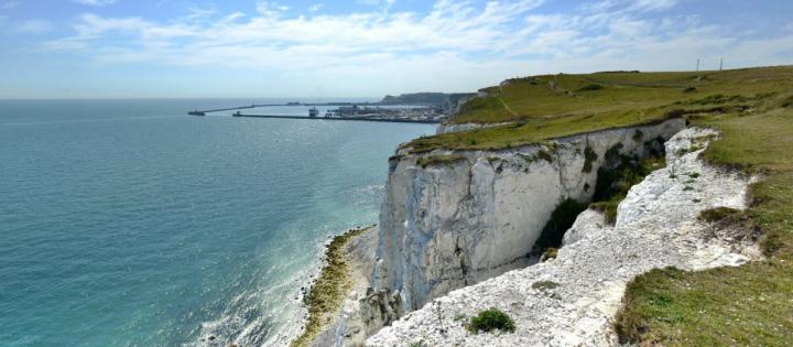The Great Chalk is Made of the Remains of Tiny Algae