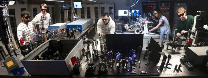 The Femtosecond Spectroscopy Unit in Action