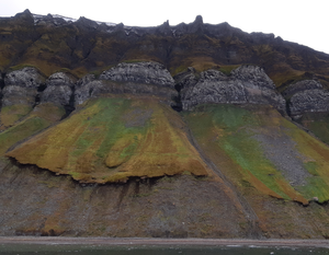 Grassy slopes