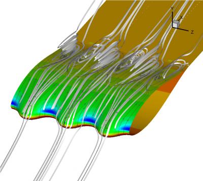 Tubercles Computer Model