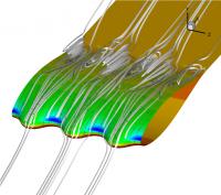 Tubercles Computer Model