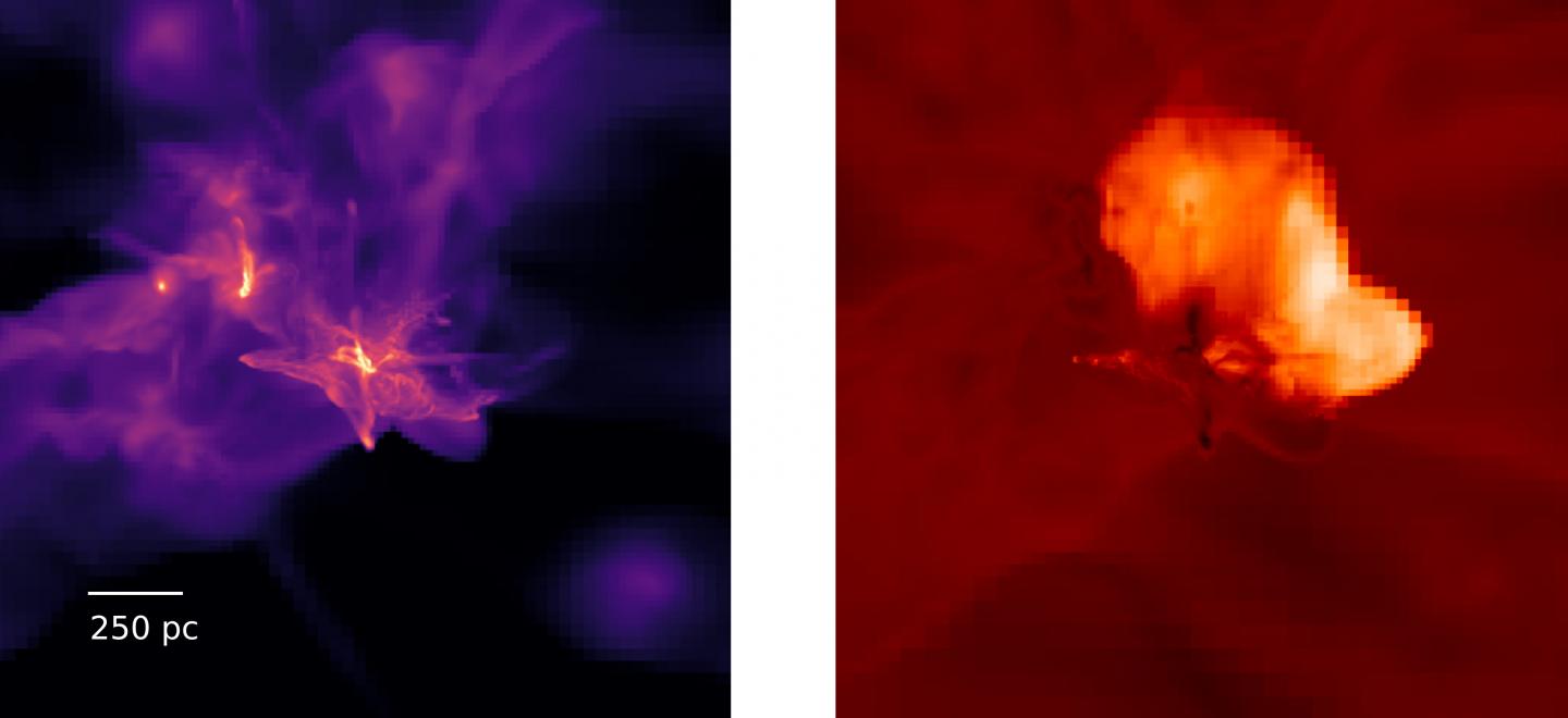 Direct Collapse Black Hole Simulation