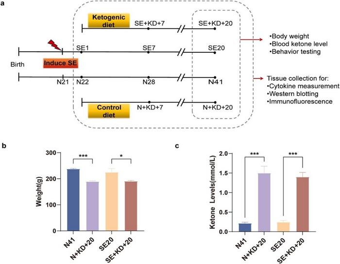 Effects of KD on body weight and blood ketone levels in different groups of rats.