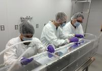 Prototype Assembly